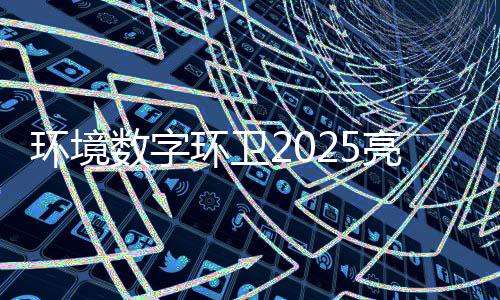 项额达亿元目总环境环卫亮眼数字收官