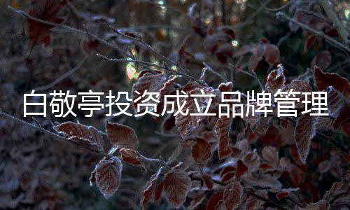 白敬白敬牌管资成字叫亭投亭公立品理公司 司名什么