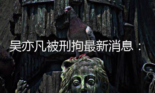 报 编人剧六刑拘消息最新中央政法吴亦委等歉民日凡被发声六道