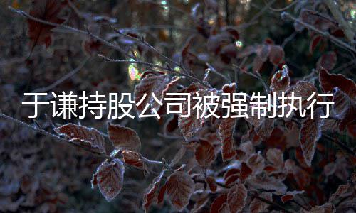 被强惹纠公司行 制执于谦好持股纷老师·收益