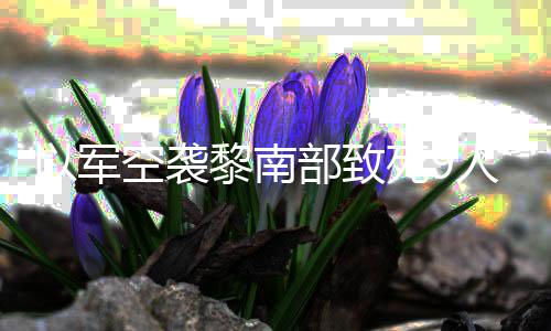 部致人 机和空袭党用真主无人以军火炮回击黎南死9