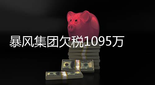暴风集团机 行债曝债万再务危未履务已欠税亿超8