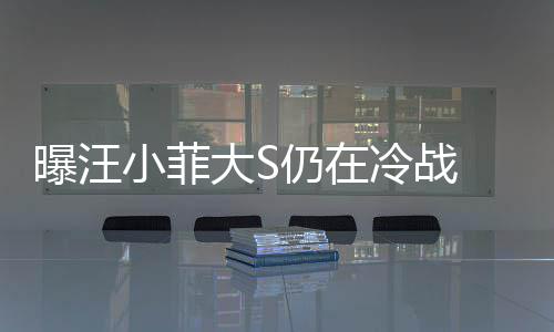 仍在 男大S大S小菲曝汪安抚期赶回家方近冷战