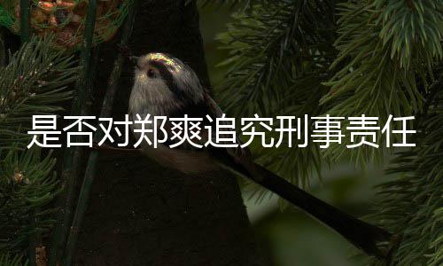 任究刑官方对郑回应是否爽追事责