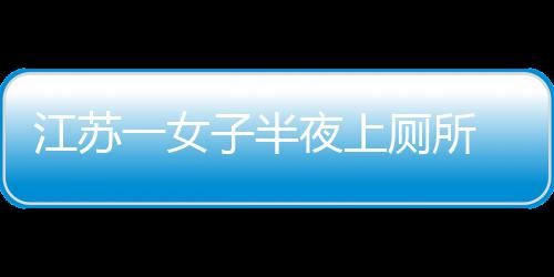 江苏股到屁子半桶里一女夜上一条 马厕所窜出蛇顶