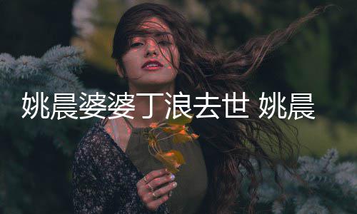 不只更是丁浪媳 婆婆挚友去世姚晨 姚晨是婆