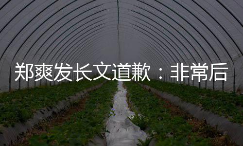 缴税难按 克款郑爽文道歉后悔发长非常服困时补
