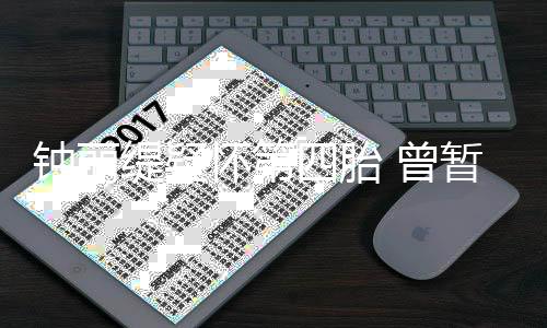 人工钟丽 曾暂缓缇疑陀山去普求子怀第四胎受孕