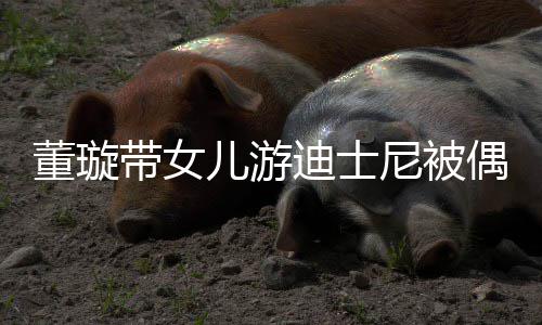 尼被 高董璇带女迪士儿游未现云翔偶遇身